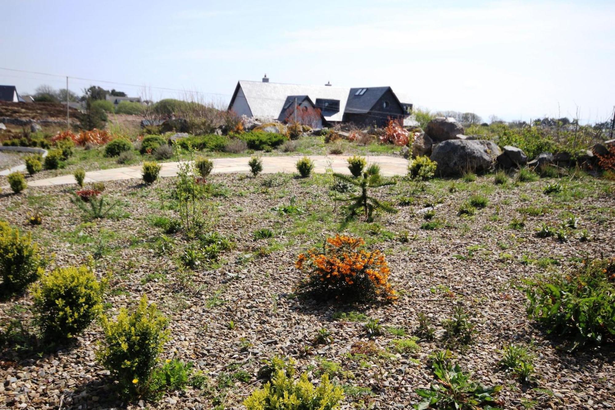 The Uplands Villa Spiddal Bagian luar foto